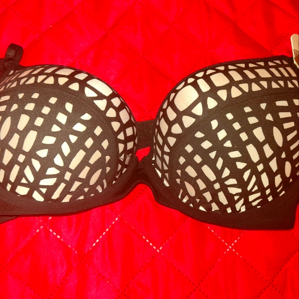 DAISY Fuentes bra